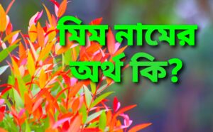 মিম নামের অর্থ কি? | mim name meaning