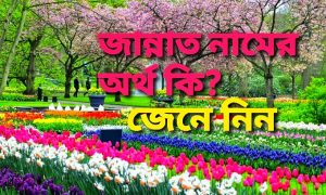 জান্নাত নামের অর্থ কি | Jannat name meaning